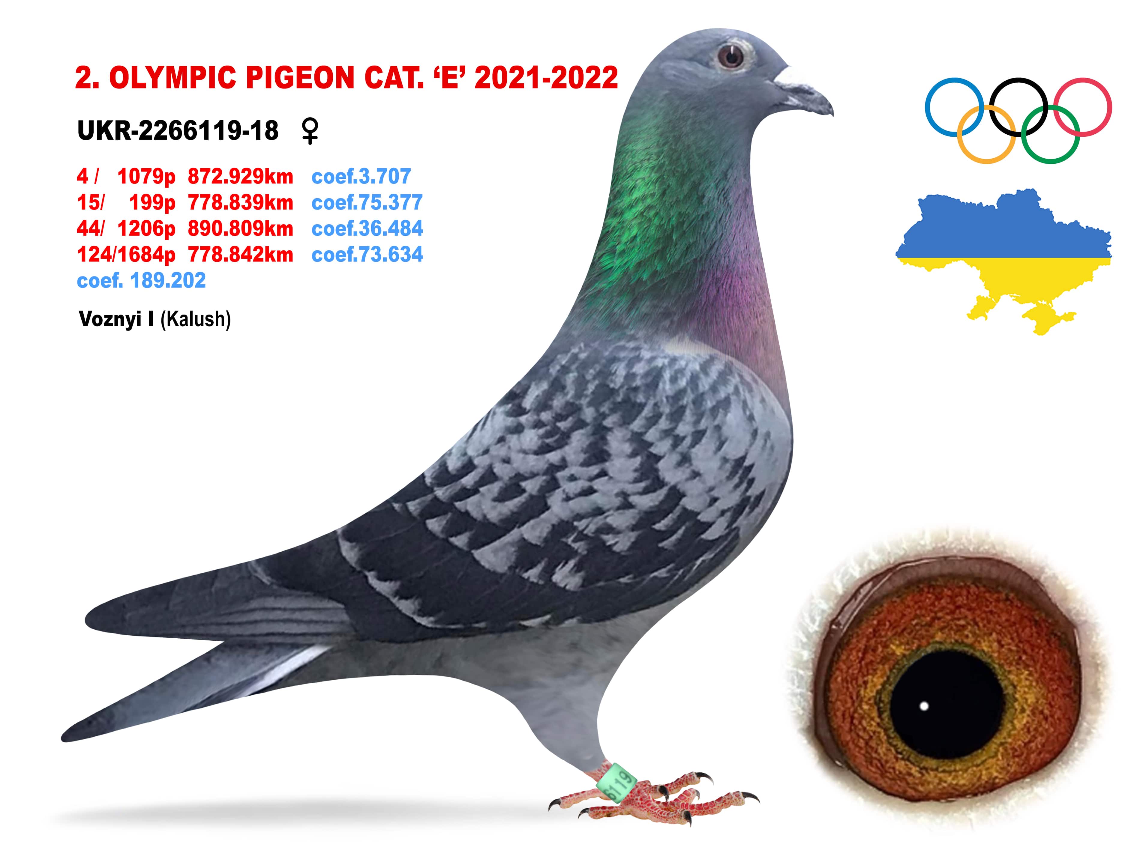 2022-E2